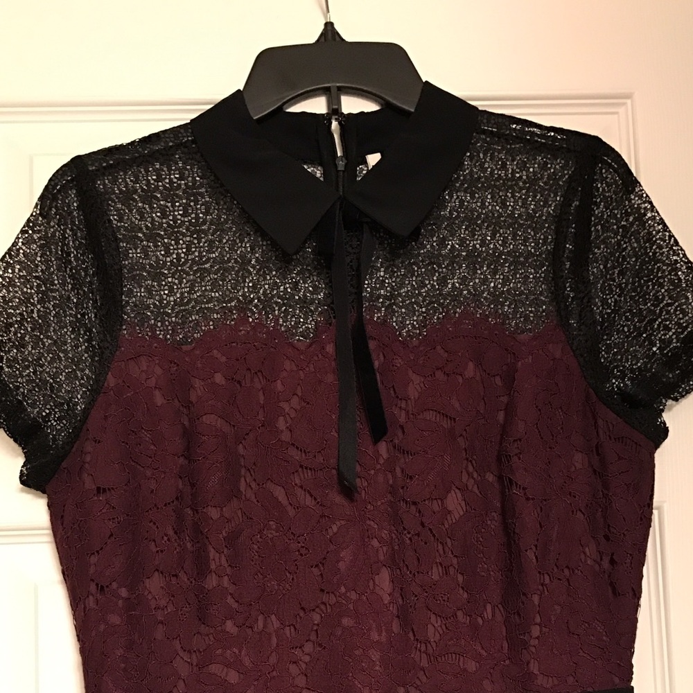 Lace Cocktail Dress