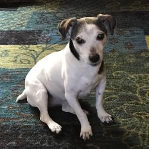 Meet your Posher, Wendy