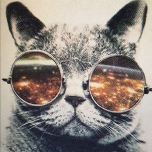 Meet your Posher, Hamed