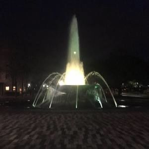 Meet your Posher, Blake