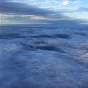 Meet your Posher, Bella