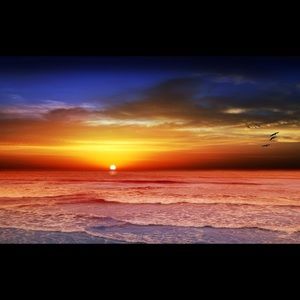 Meet your Posher, Devanna