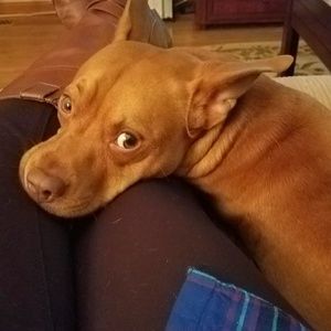 Meet your Posher, Sarah