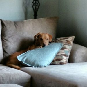 Meet your Posher, Cathy