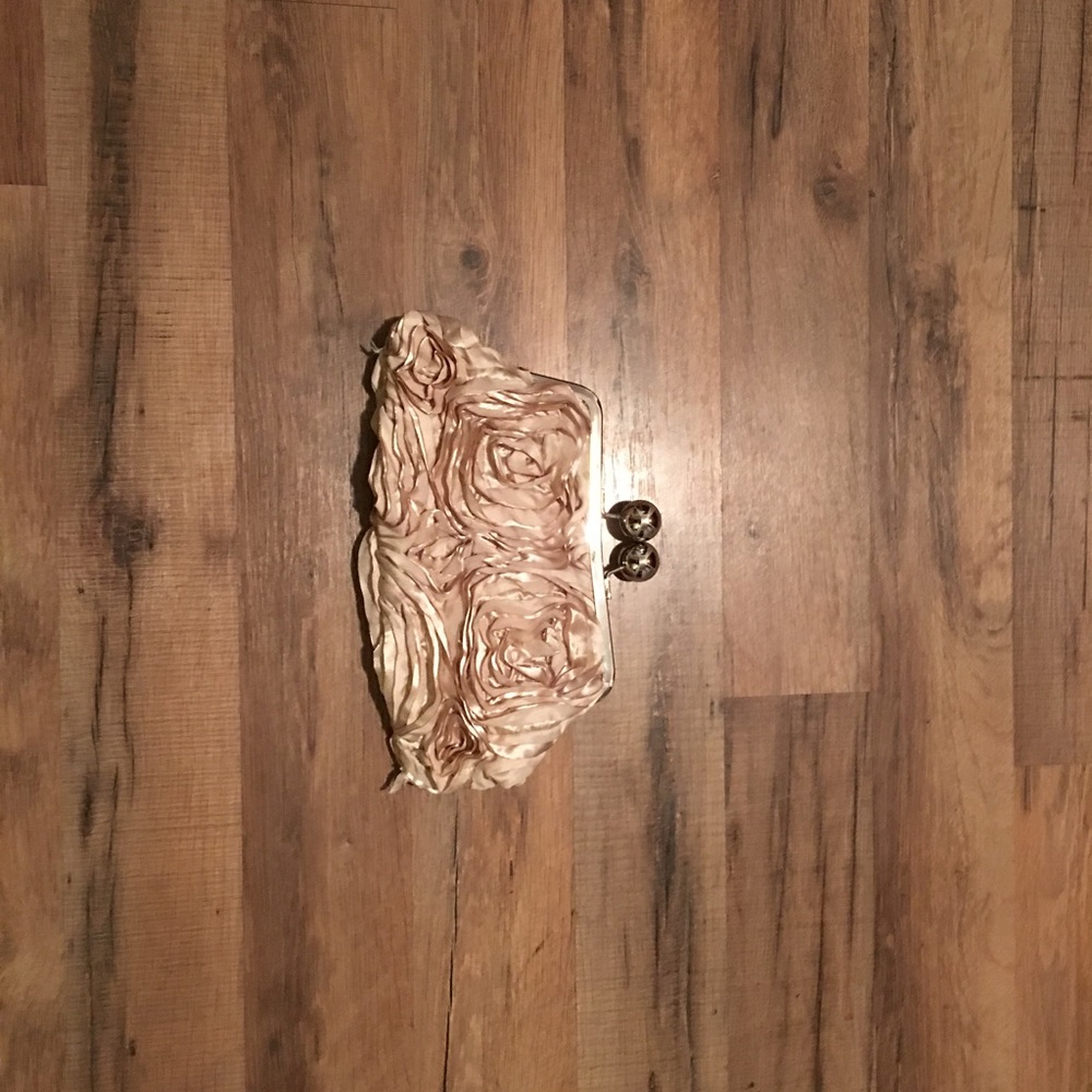 Gorgeous Clutch/Purse!