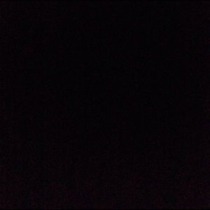 Meet your Posher, Dylan