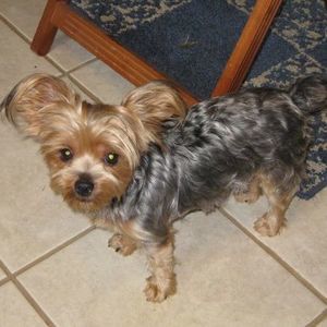 Meet your Posher, Brenda