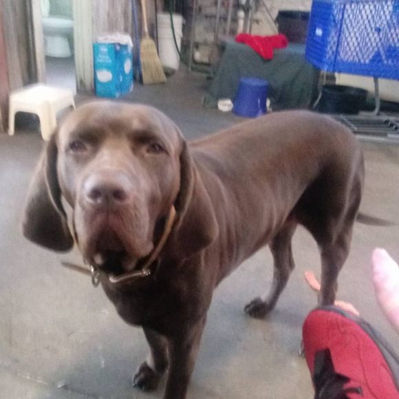 Meet your Posher, Kenneth - Picture 1 of 1