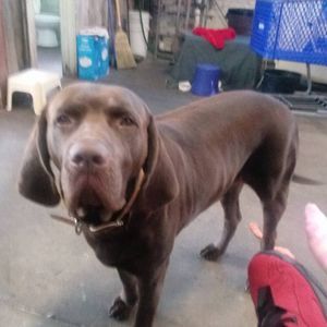 Meet your Posher, Kenneth