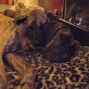 Meet your Posher, Lessie