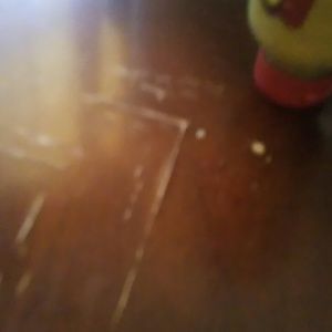 Meet your Posher, Phillip