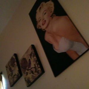 Meet your Posher, Shannon