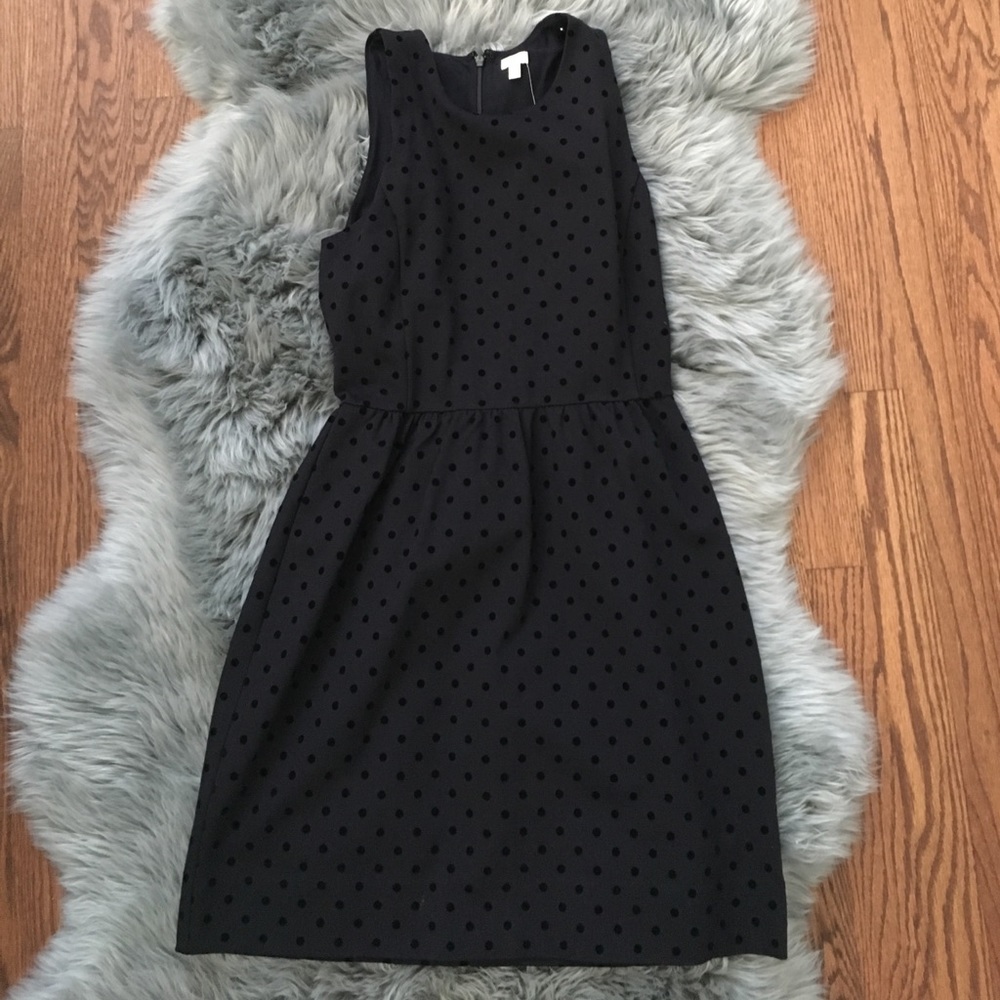 JCrew factory navy dress