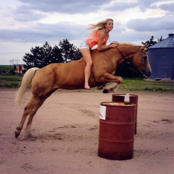 ISO English&western tack - Picture 2 of 2