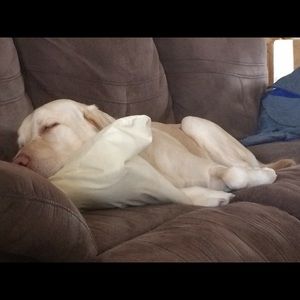 Meet your Posher, Christy