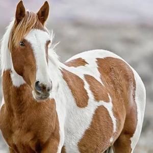 Meet your Posher, Kathi