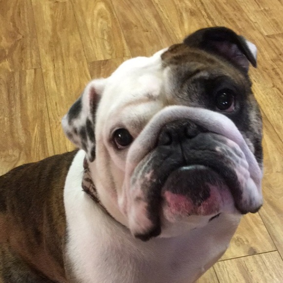 Meet your Posher, Tyler - Picture 1 of 1