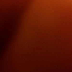 Meet your Posher, Tip