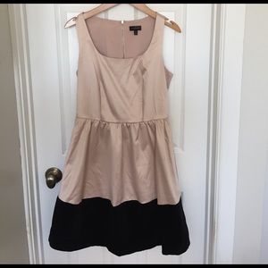 The Limited Velvet and Pink Color Block Dress
