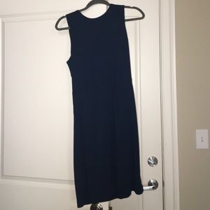 Ann Taylor Loft dress