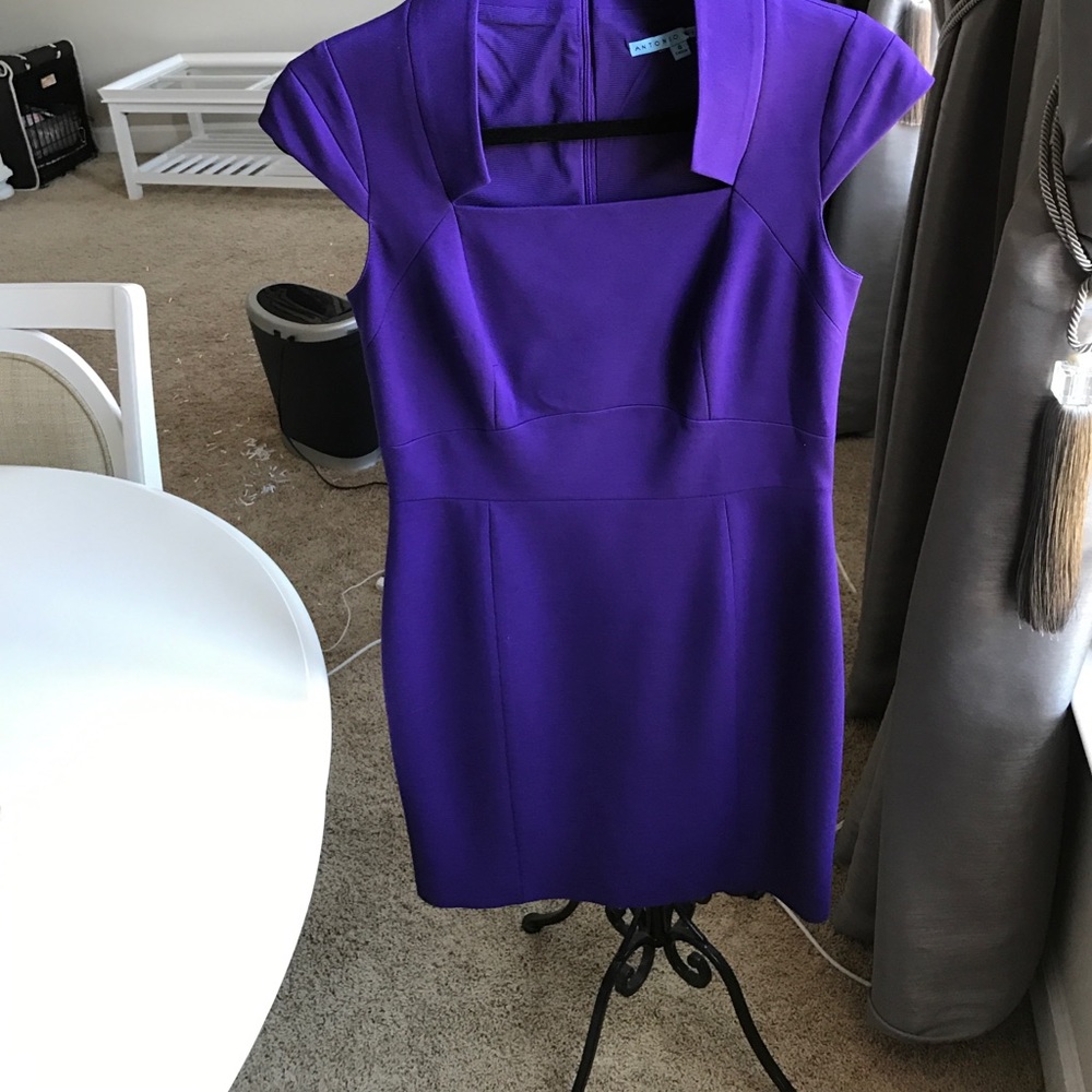 Purple Antonio Melani dress- perfect condition