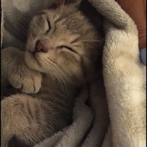 Meet your Posher, Leila