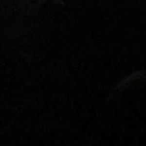 Meet your Posher, Jake