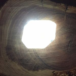 Meet your Posher, Ted