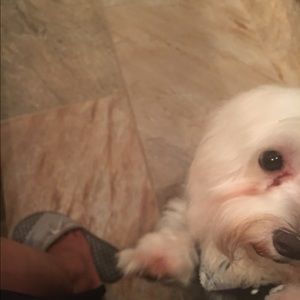 Meet your Posher, Cynthia