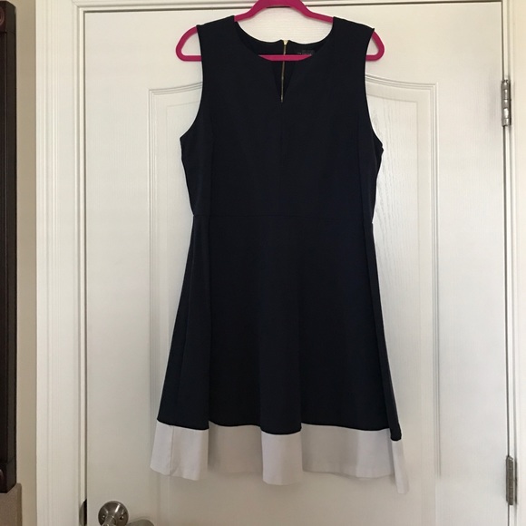 The Limited Dresses & Skirts - Navy and white flare dress