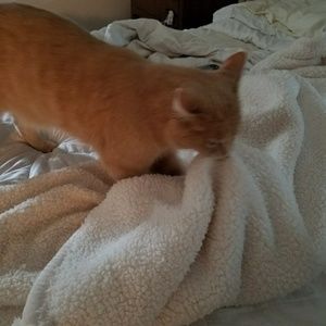 Meet your Posher, Cathy