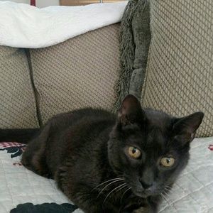 Meet your Posher, Claudia