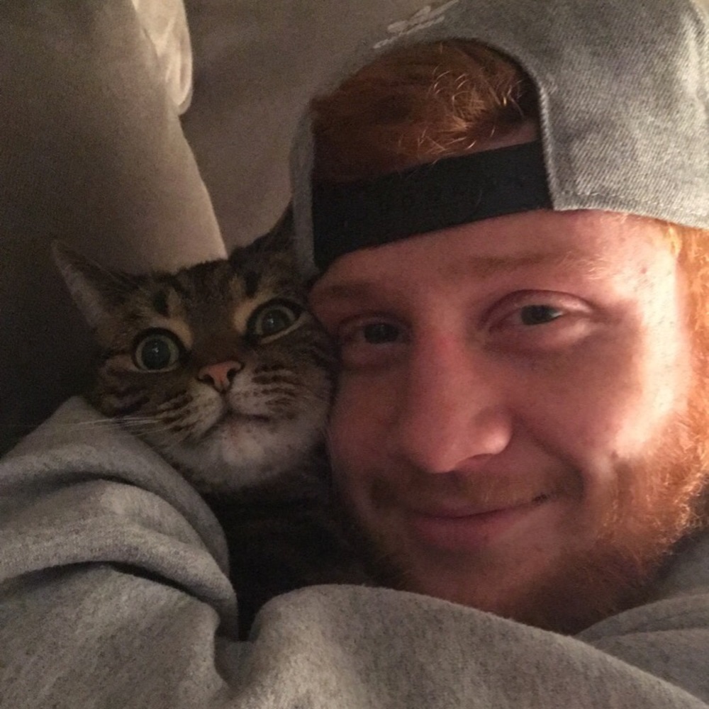 Meet your Posher, Kasey