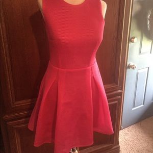 Lucy Paris skater dress