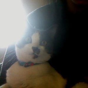 Meet your Posher, Kirby