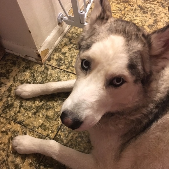 Jaclyn Rose Charlotte Smith - Picture 3 of 3