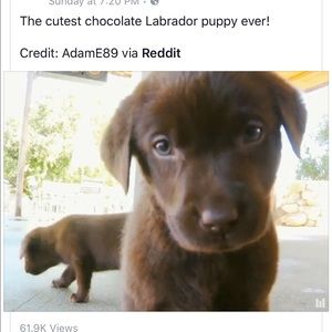 Meet your Posher, Patti