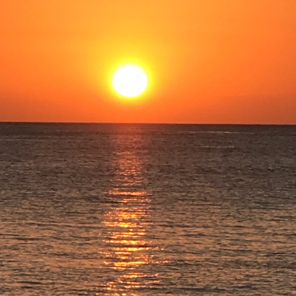 Meet your Posher, Peg