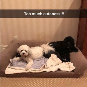 Meet your Posher, Marla