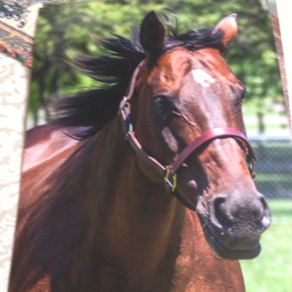 Meet your Posher, Deb