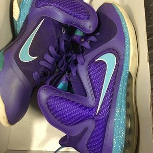 Lebron 9 hornets size 10.5 (8/10)