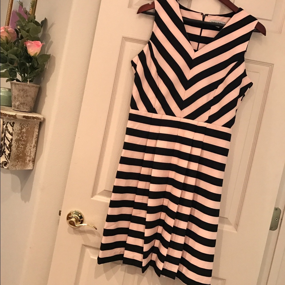 NWOT Pink + Black Striped Dress 🌸 Size 10P - 12P