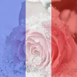 Meet your Posher, Star-star