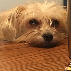 Meet your Posher, Tabatha