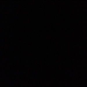 Meet your Posher, Zoe