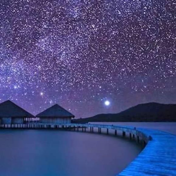 Meet your Posher, Pamela - Picture 2 of 2