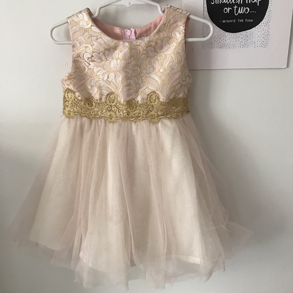 Blush & Gold Party Dress 24m