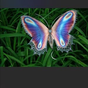 Meet your Posher, Crystal