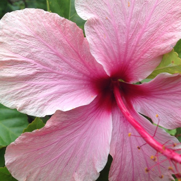 Meet your Posher, Jill - Picture 2 of 8