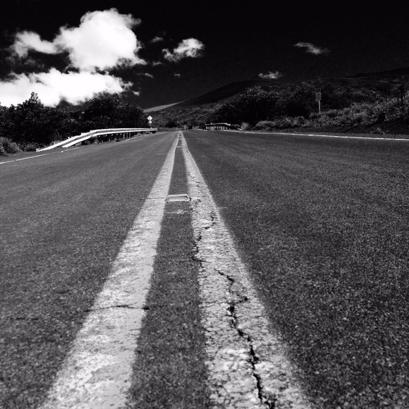 Meet your Posher, Jill - Picture 4 of 8